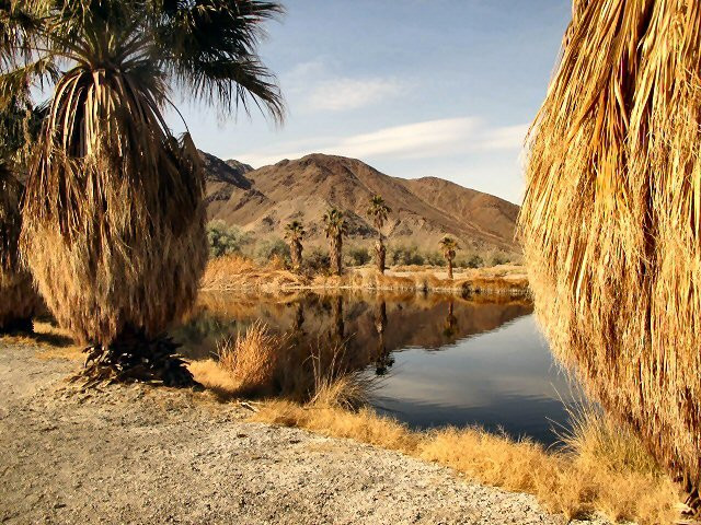 Desert Studies Center景点图片