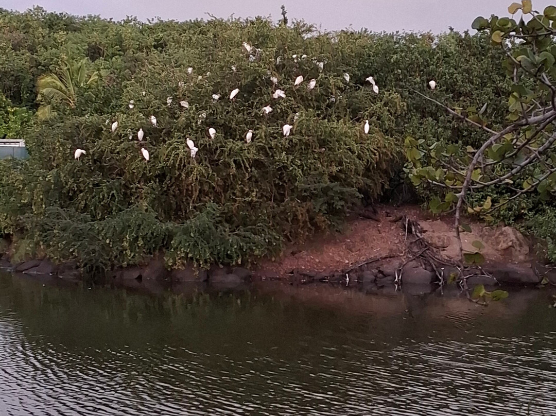 Royalton Lake-Port Salines必去景点
