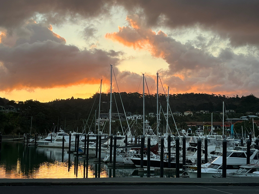 The Light House Lookout主图