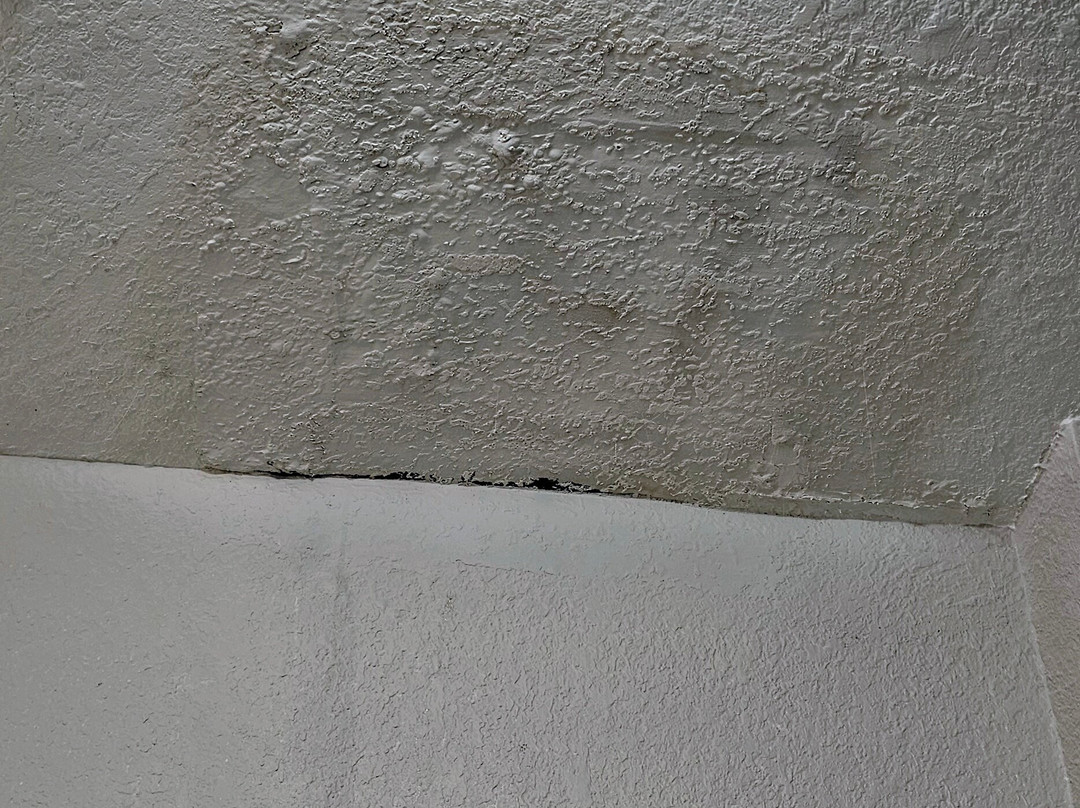 La Quinta Inn & Suites by Wyndham Macon West主图