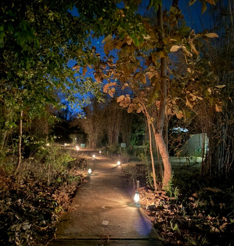 Red Earth Tadoba主图