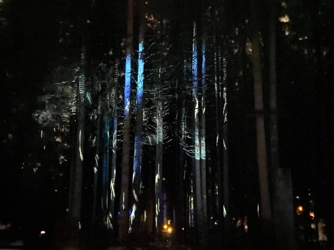 Alta Lumina景点图片