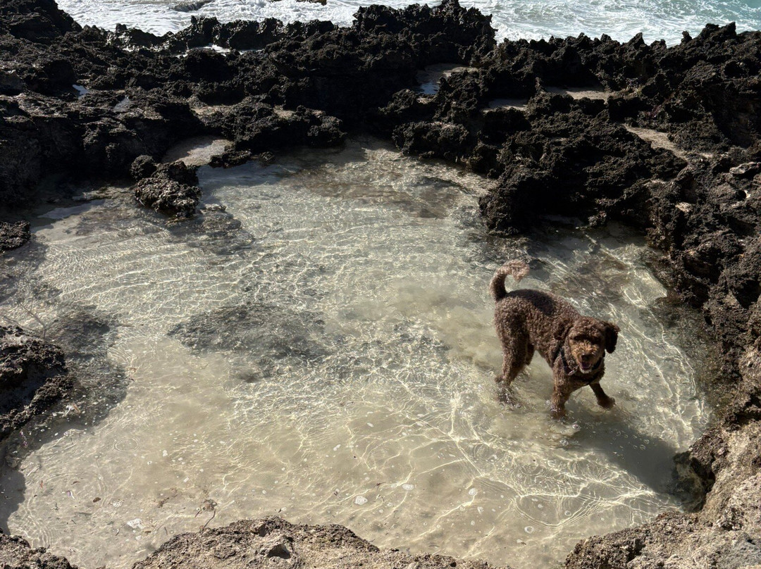 La Douche-Saint Francois必去景点