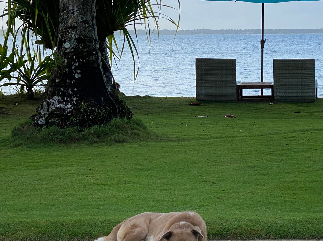 Sandy Feet Siargao主图