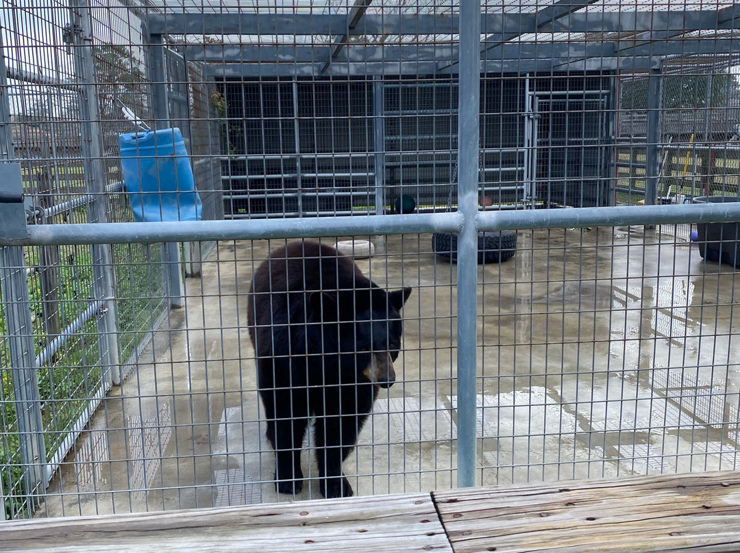 TGR Exotics Wildlife Park-斯普林必去景点