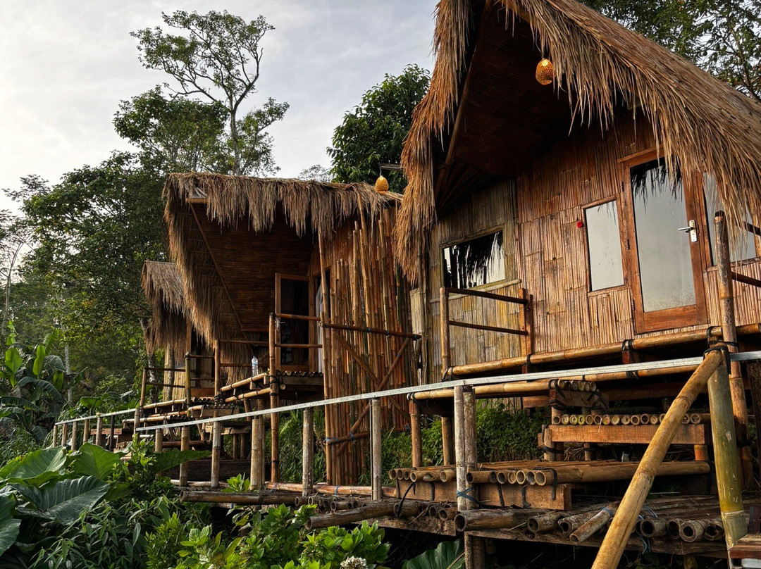 Wanagiri Campsite主图