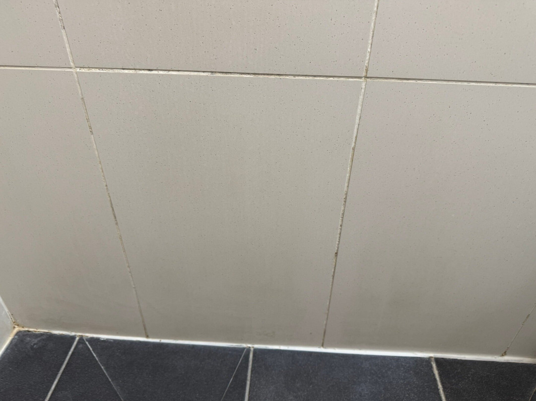 The Summit Apartments主图