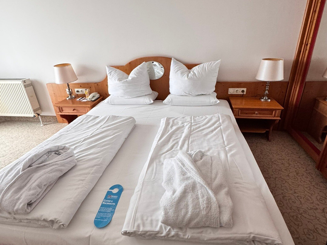 Hotel MAXIMILIAN主图
