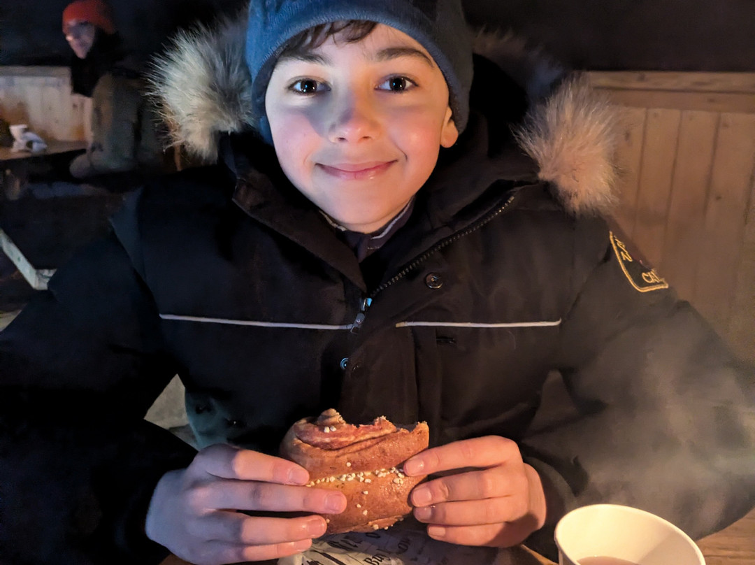 Nuuksio Reindeer Park-埃斯波必去景点