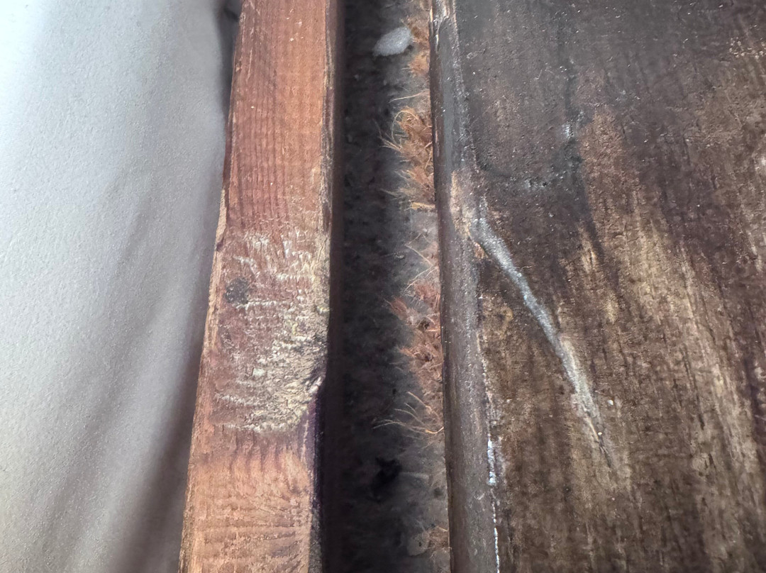 Aristi's Mansion主图