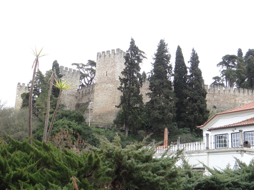 Castelo de Torres Novas景点图片