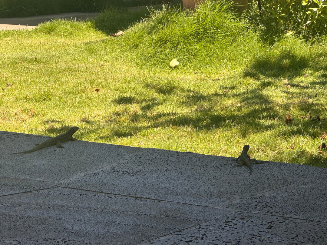 La Peregrina Galapagos B&B主图
