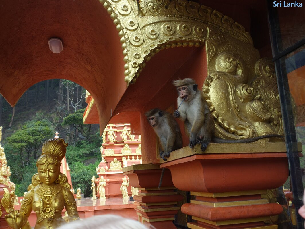 Himaliyan Tours and Travels-卡卢特勒必去景点