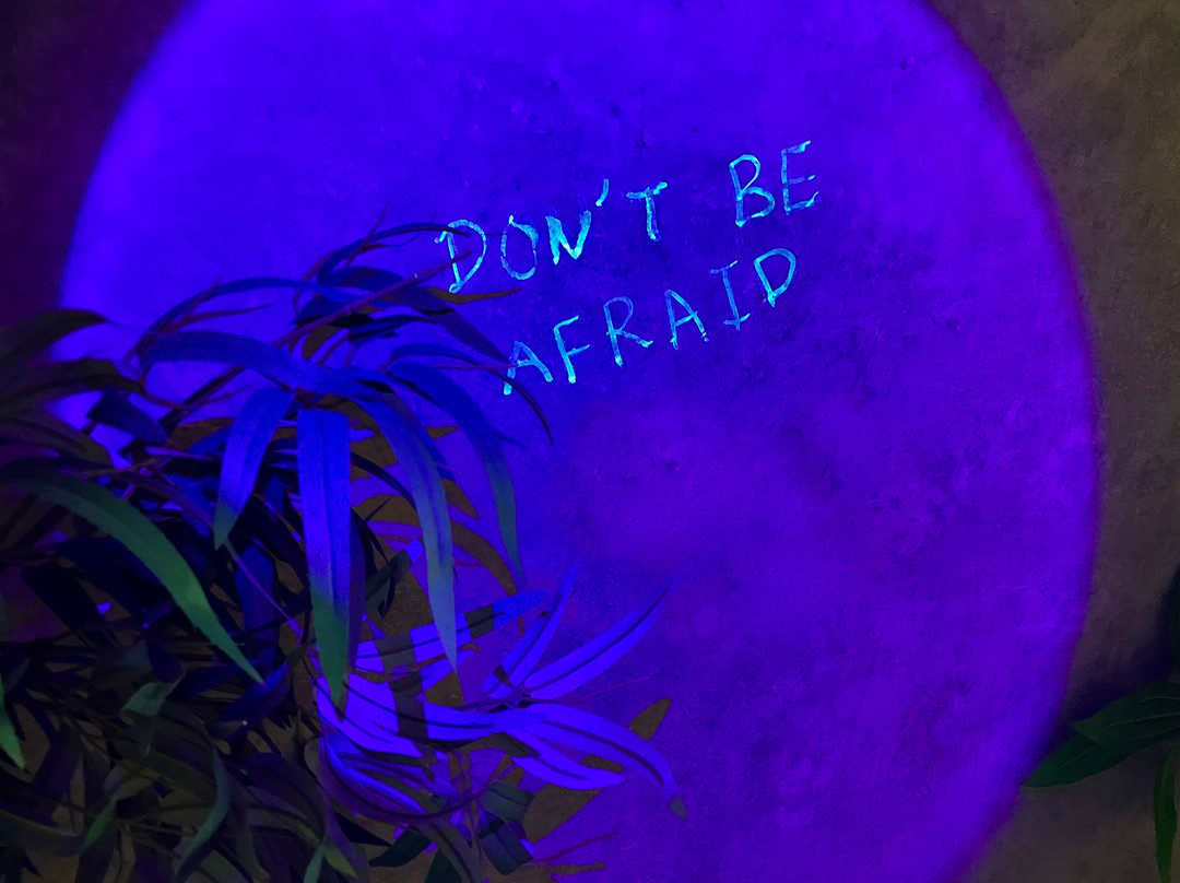 Escapism-旺阿帕劳阿必去景点