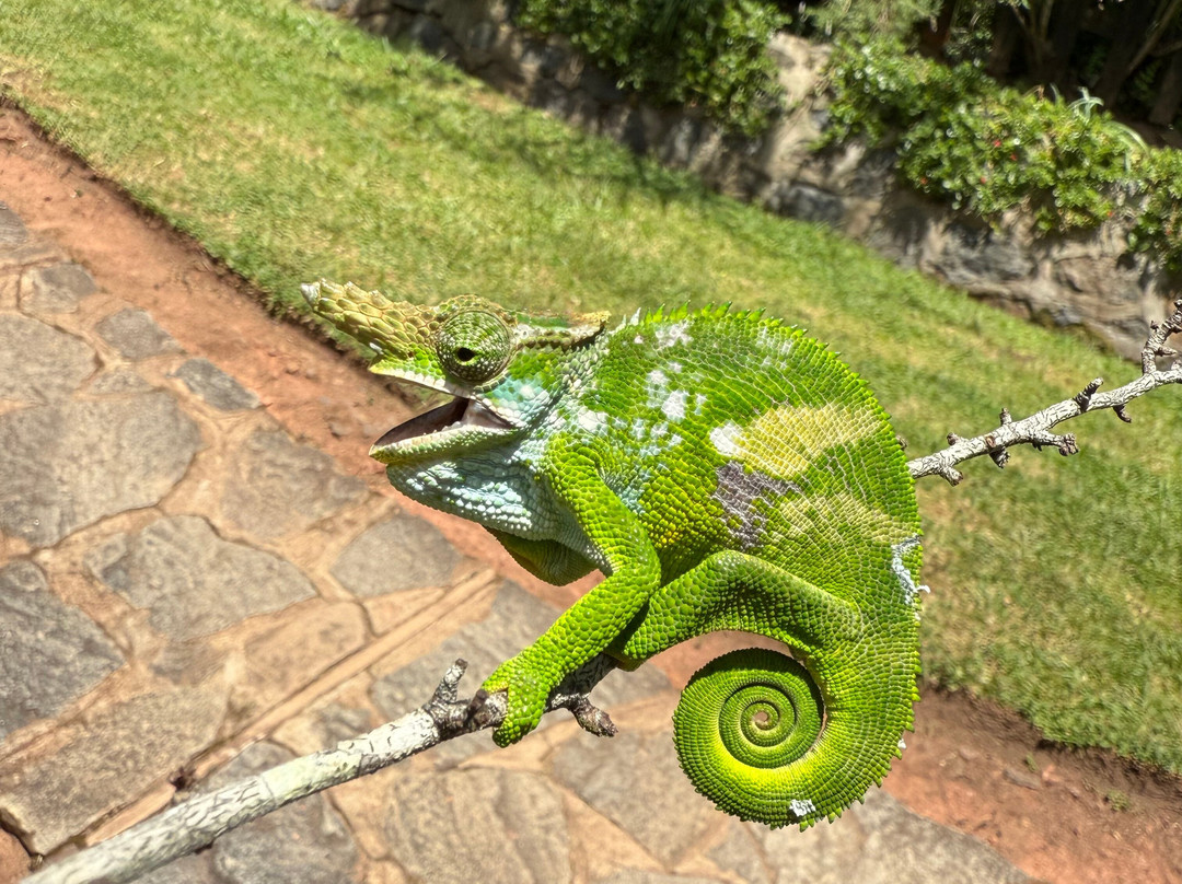 Magamba Eco-cultural Tourism-卢绍托必去景点