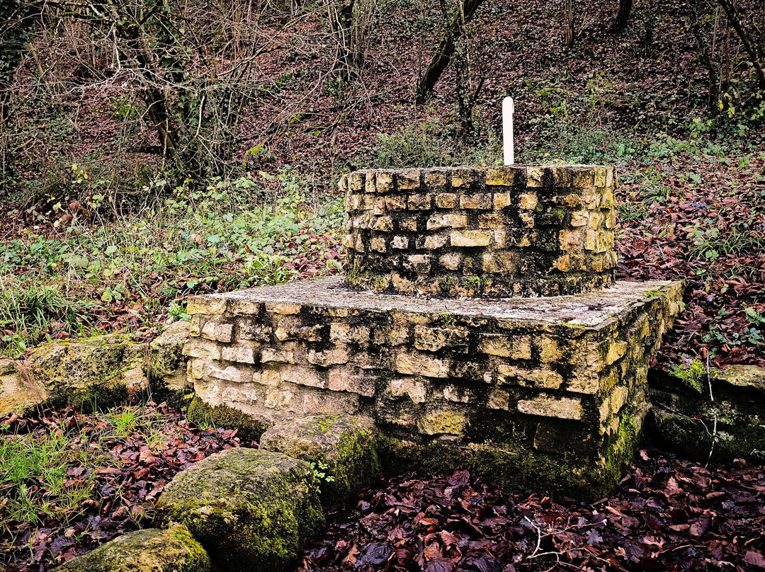 Lavoir de Fontaine le Comte景点图片