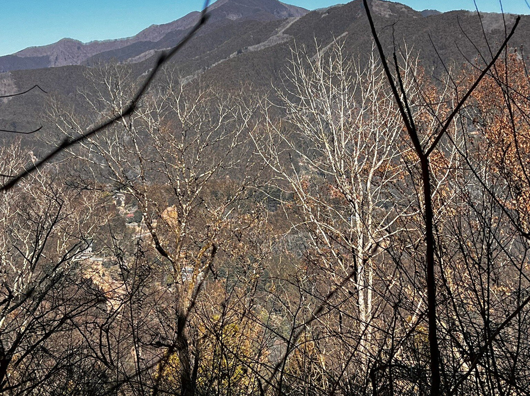Sengenrei-桧原村必去景点