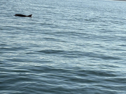 TB Tours-瓦拉塔港必去景点
