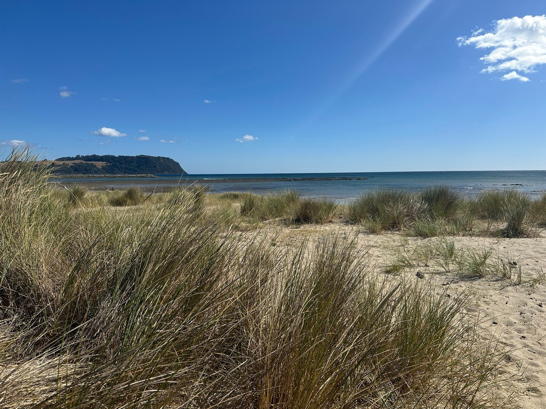 Wynyard Foreshore Market