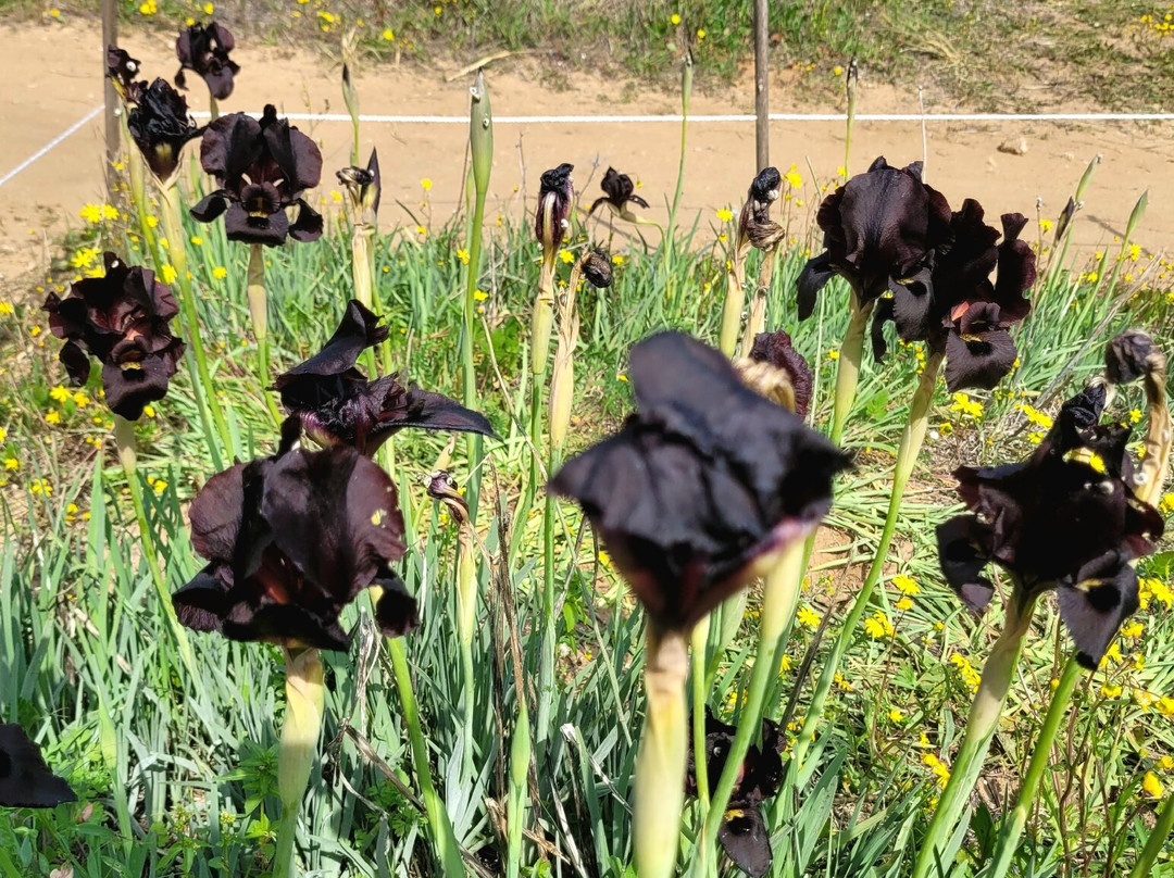 National Park Sandstone Hills