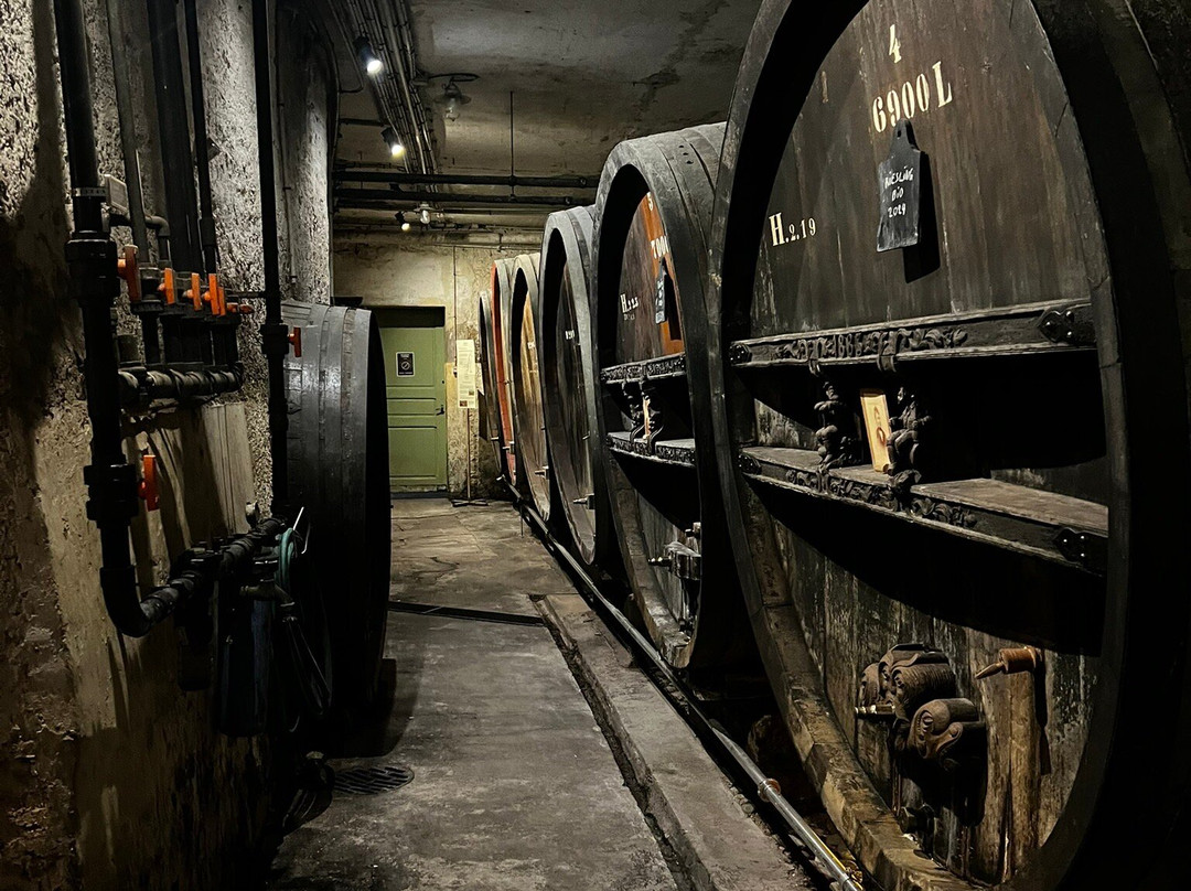 Cave Jean Baptiste Adam景点图片