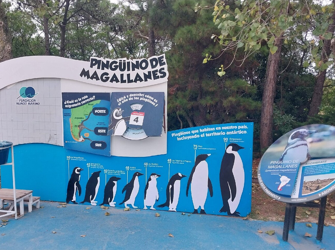 Mundo Marino-圣克莱门特雷图尤必去景点