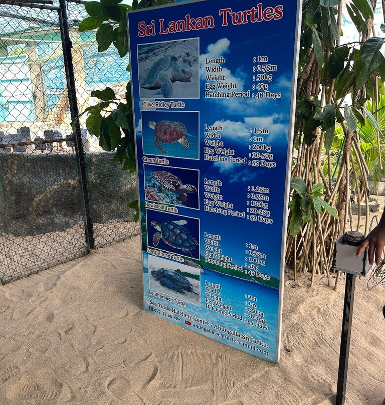 KOSGODA Turtle Conservation and Research Centre景点图片