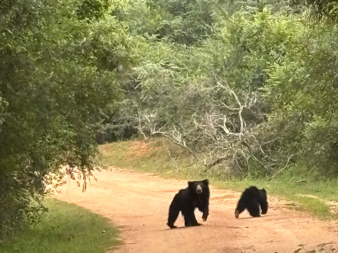 Excellent Lanka With Madu-卡图纳耶克必去景点