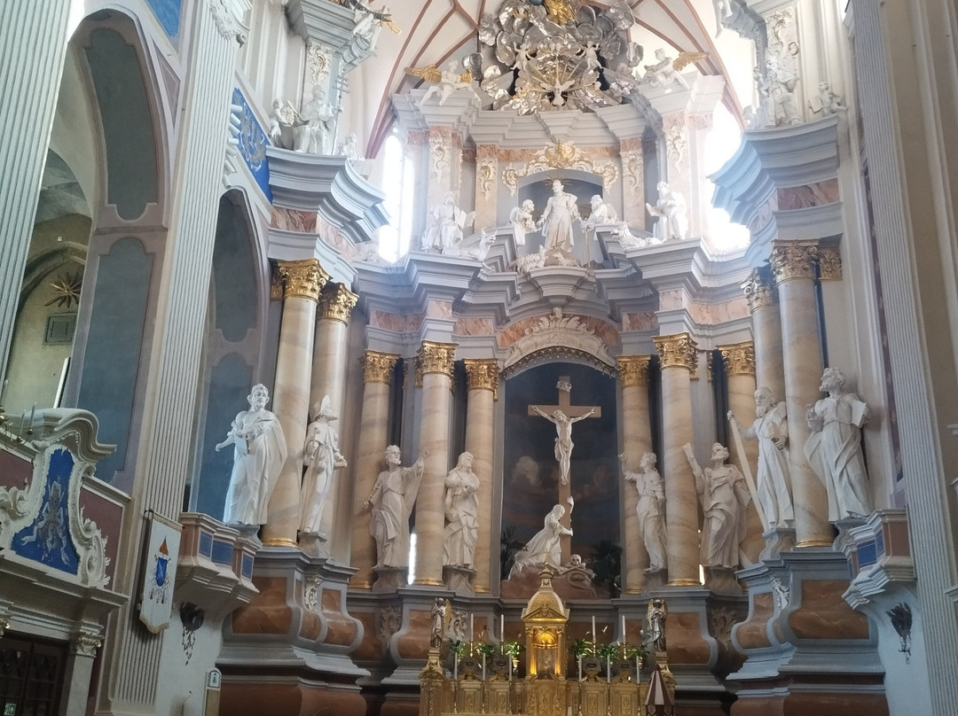 Cathedral of St. Peter and St. Paul-考那斯必去景点