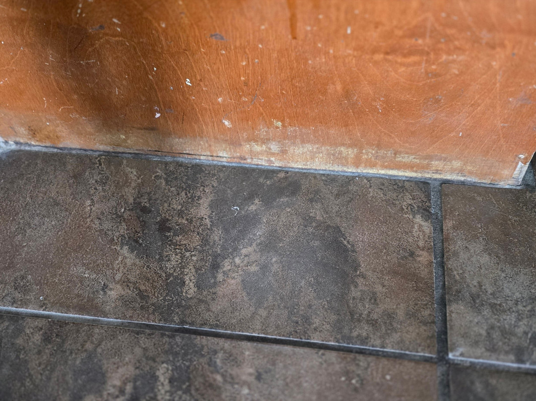 Super 8 By Wyndham South Padre Island主图