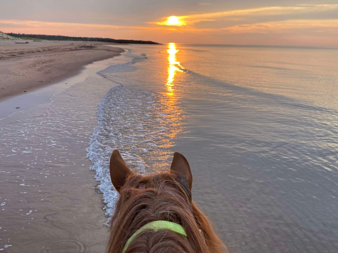 Lakeside Trail Rides-Morell必去景点