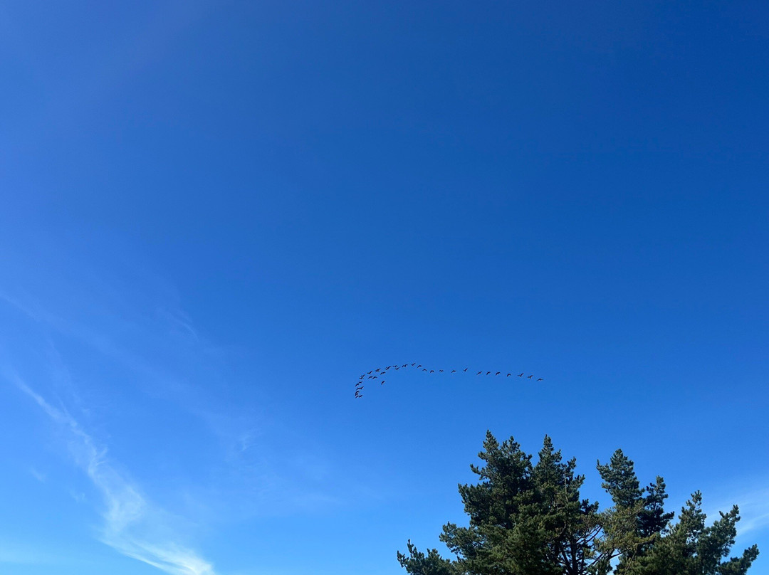 Raglan Golf Club-拉格伦必去景点