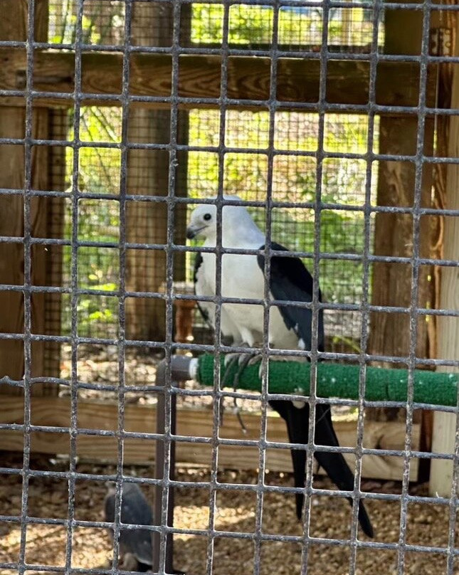 Moccasin Lake Nature Park-克利尔沃特必去景点
