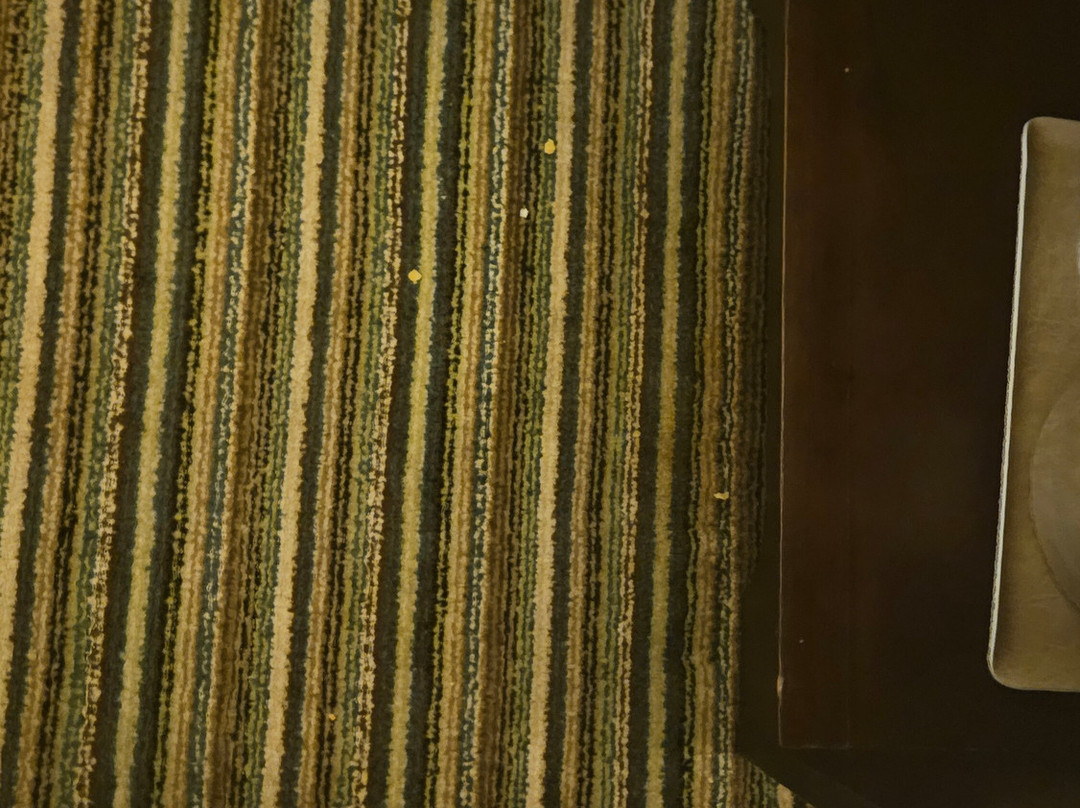 Quality Inn & Suites主图