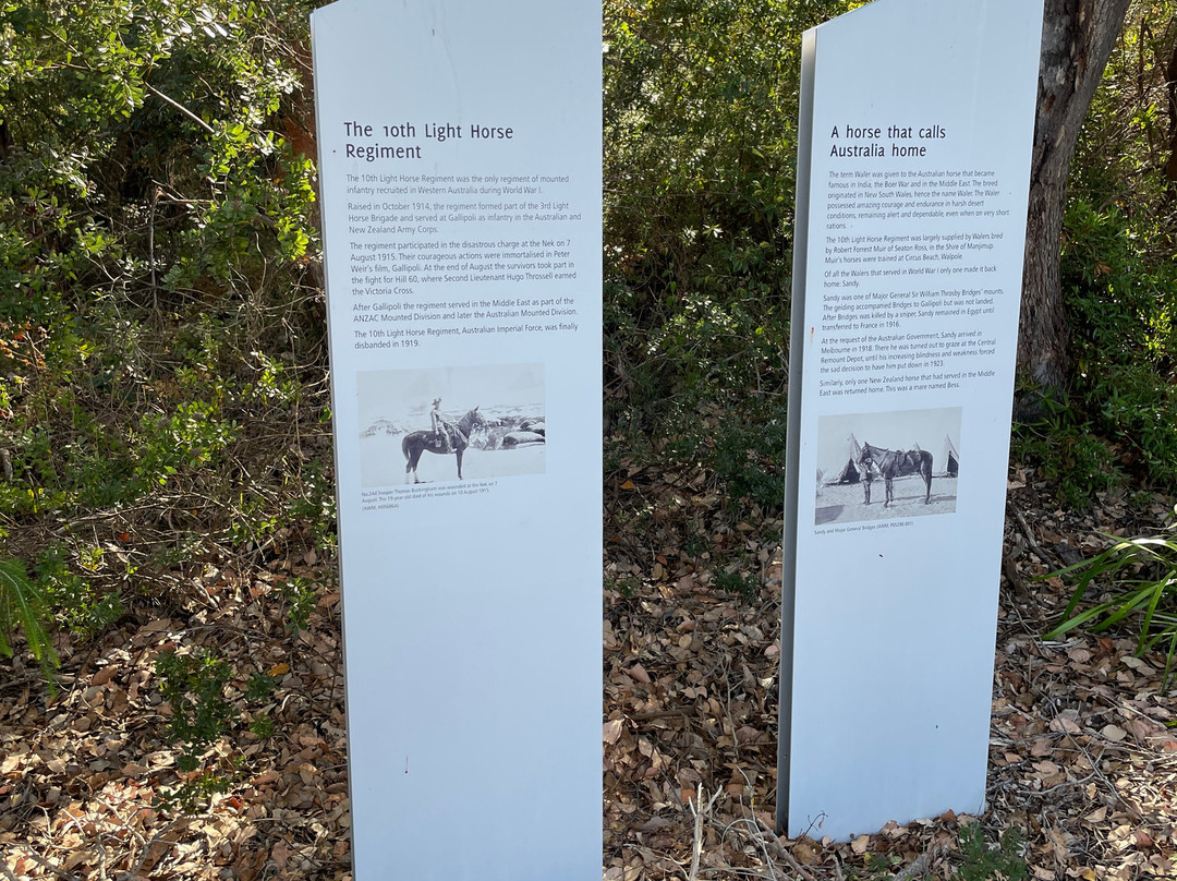 Desert Mounted Corps Memorial-奥尔巴尼必去景点