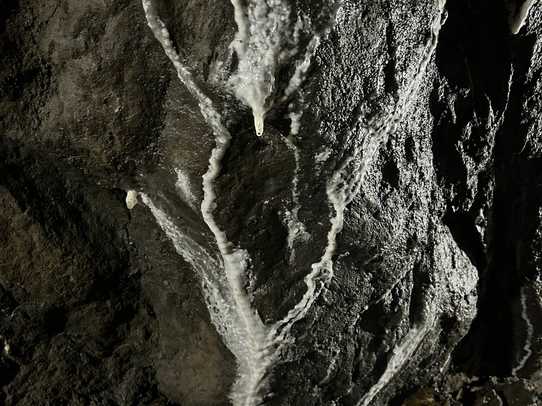 Crystal Gold Mine-Kellogg必去景点