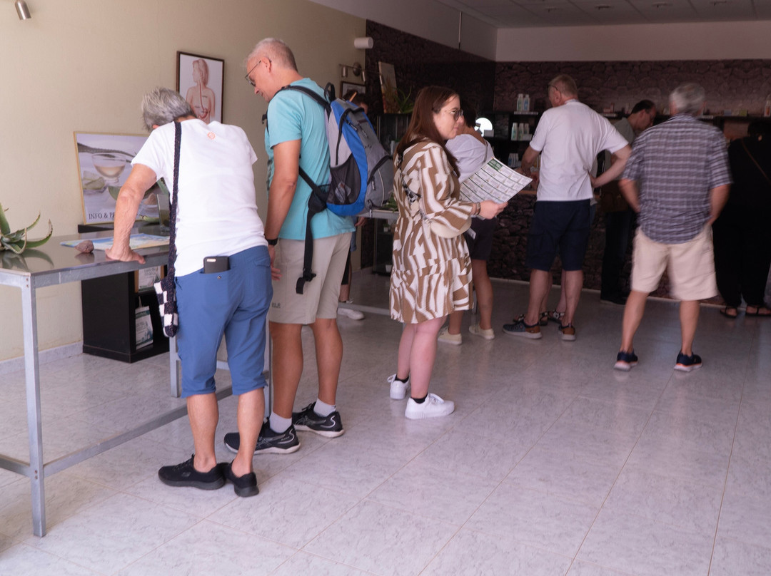 Aloe Vera museum-拉奥利瓦必去景点