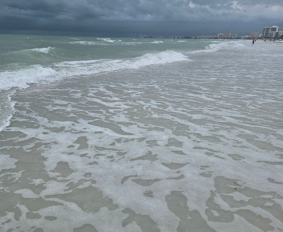 Twin Palms at Siesta主图