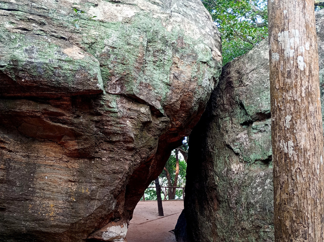 Lion Rock景点图片
