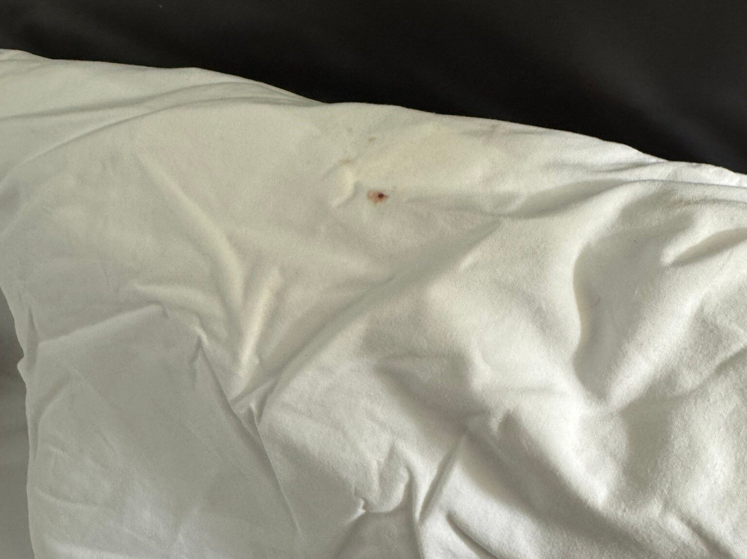 恩波利亚费尔菲尔德客栈主图