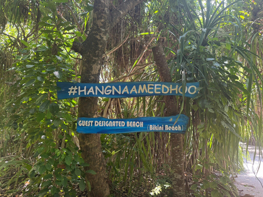 Local Travel Beach主图