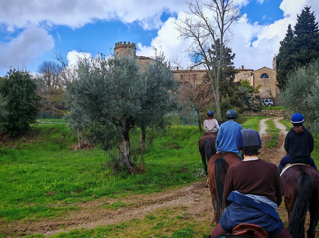 Castello del Calcione主图