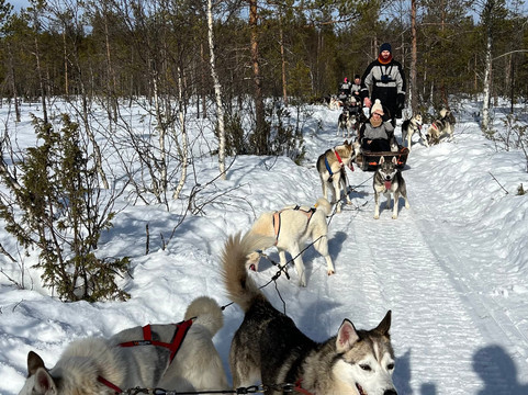 Pure Lapland-罗瓦涅米必去景点