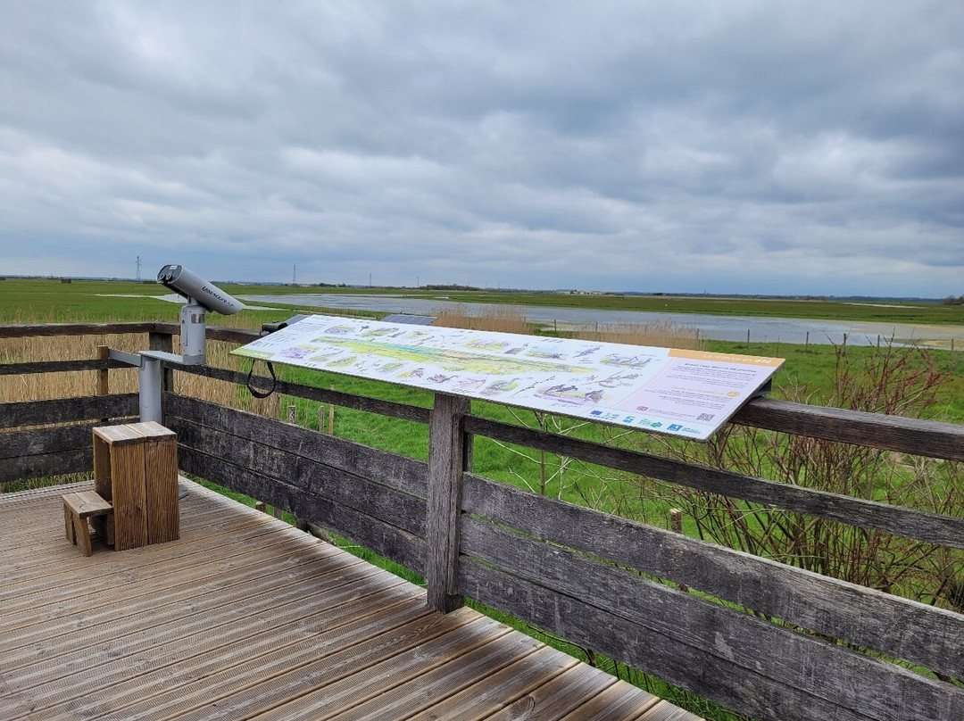 Réserve Naturelle Régionale du Marais de la Vacherie景点图片
