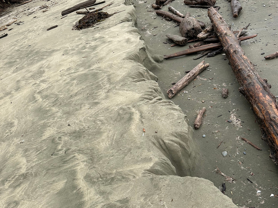 Combers Beach-托菲诺必去景点