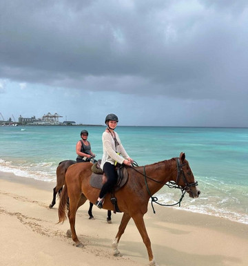 Five Gaits Equestrian Center-布里奇顿必去景点