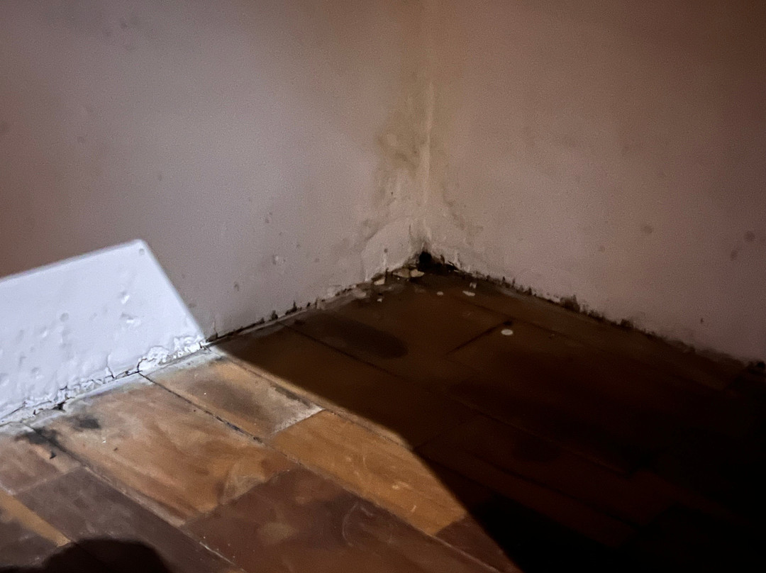 埃尔萨巴内罗生态旅馆主图