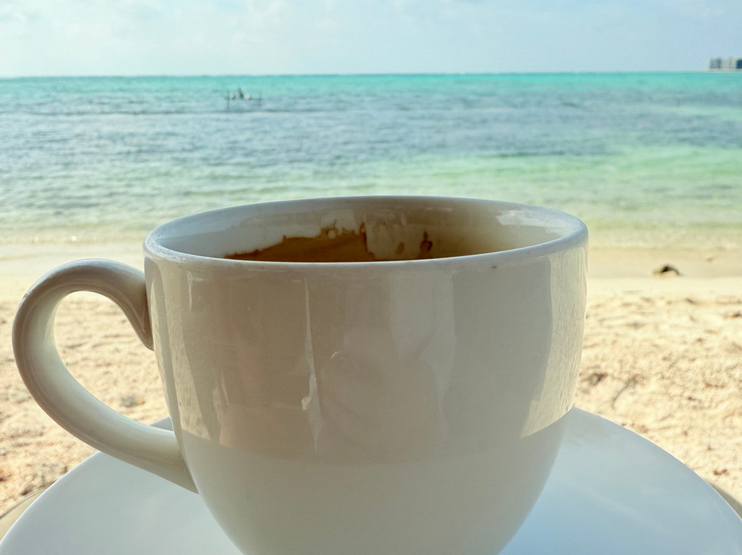 Jashita Hotel Tulum主图