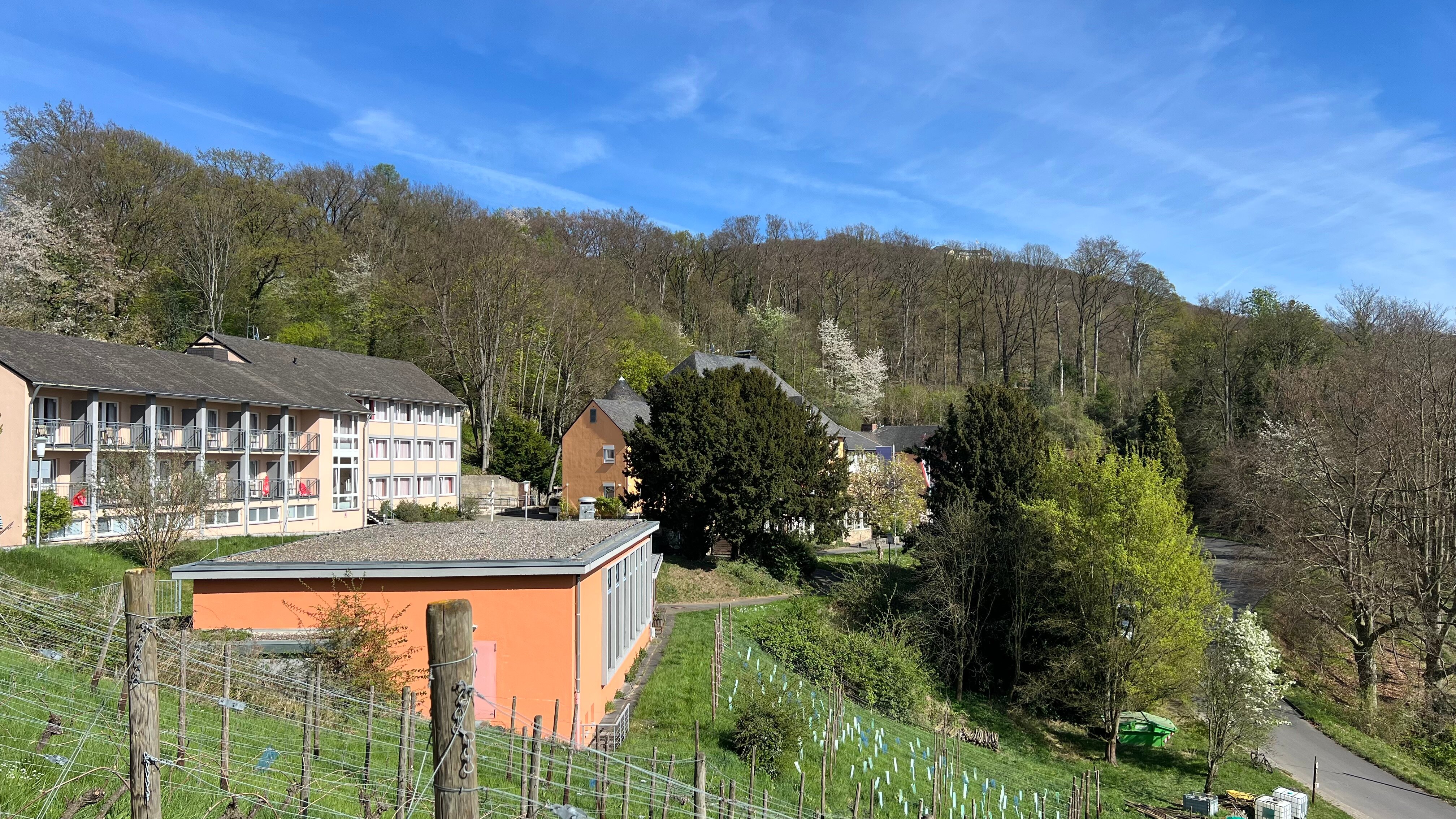 Jufa Hotel Königswinter****-官方