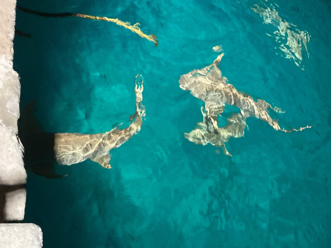 Luau Beach Inn Maldives主图